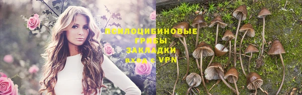 соль ск Аркадак