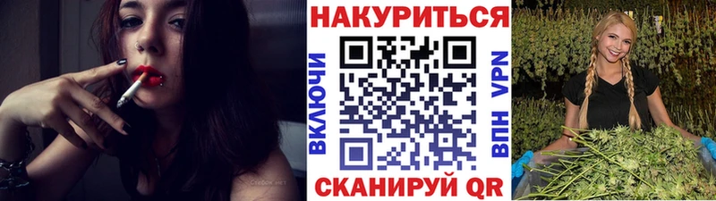 Бошки Шишки планчик  Протвино 